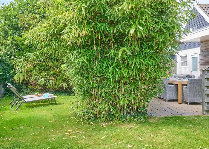 Strandvilla Roots